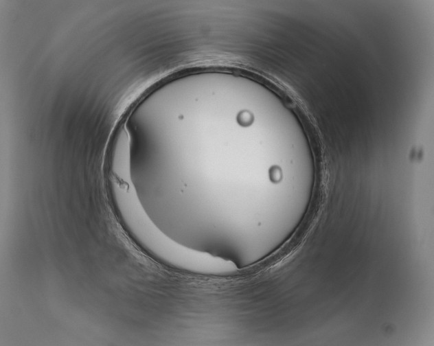 X0000111670885200908071454