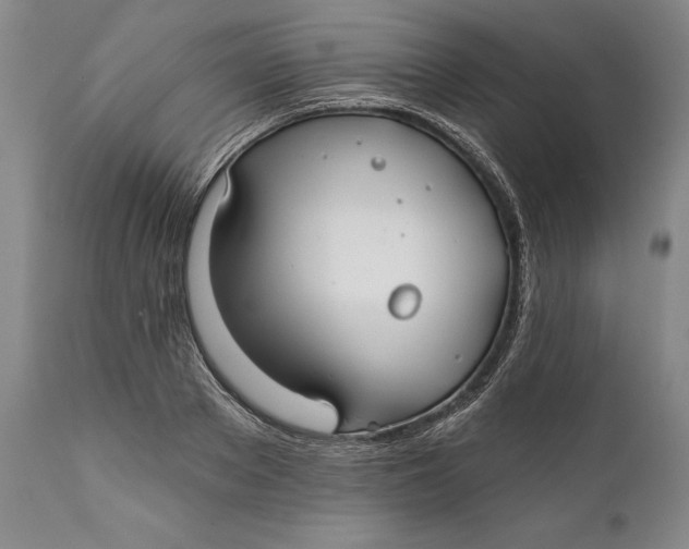 X0000111670889200908071454