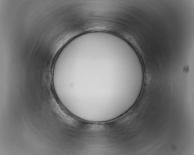 X0000111670890200908071454