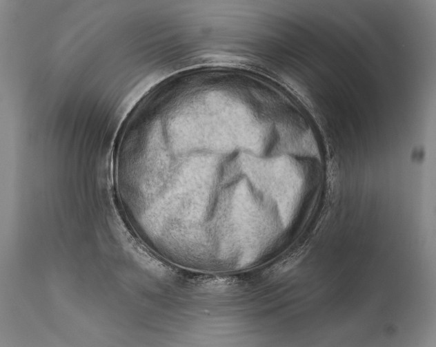 X0000111670891200908071454