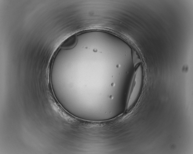 X0000111670892200908071454