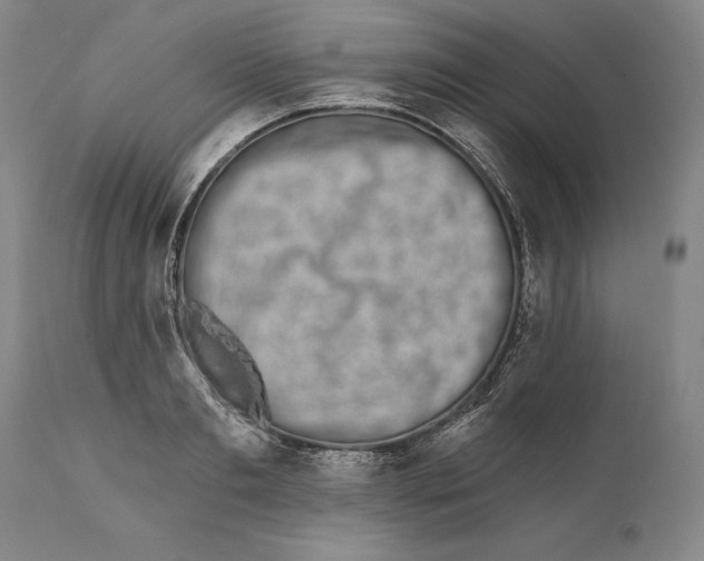 X0000111670893200908071454