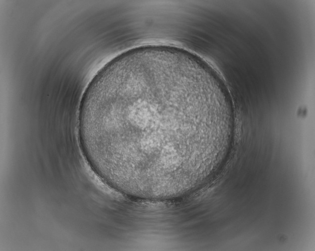 X0000111670895200908071454