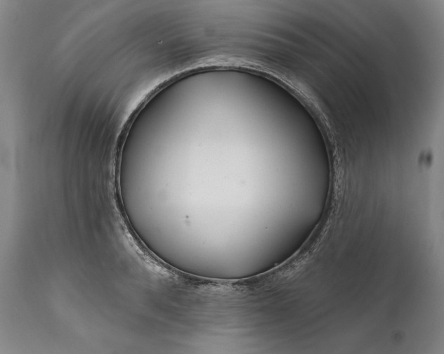 X0000111670896200908071454