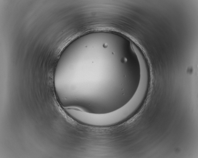 X0000111670897200908071454