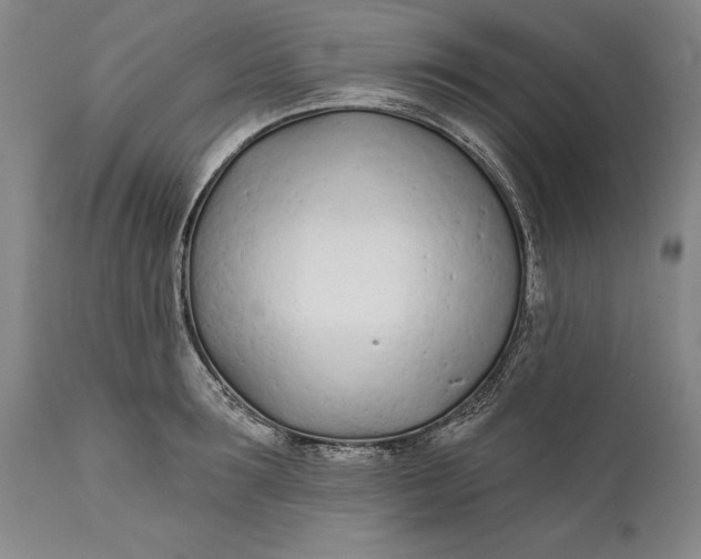 X0000111670899200908071454