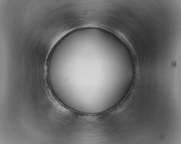 X0000111670900200908071454