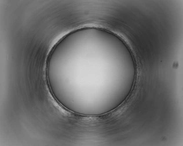 X0000111670902200908071454