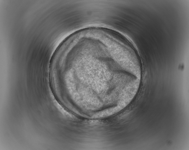 X0000111670903200908071454