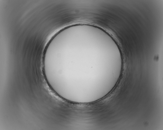 X0000111670904200908071454