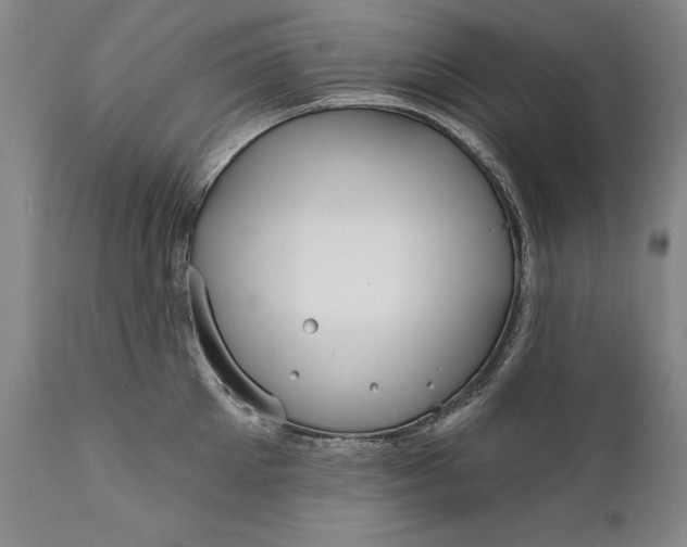 X0000111670905200908071454