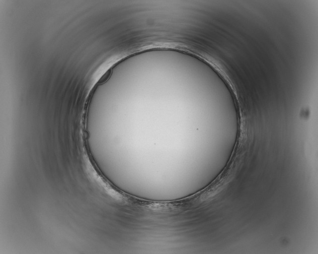 X0000111670906200908071454