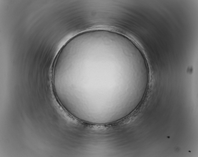 X0000111670907200908071454