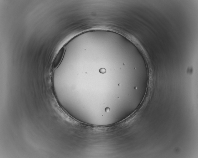 X0000111670908200908071454