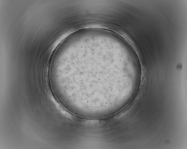 X0000111670909200908071454