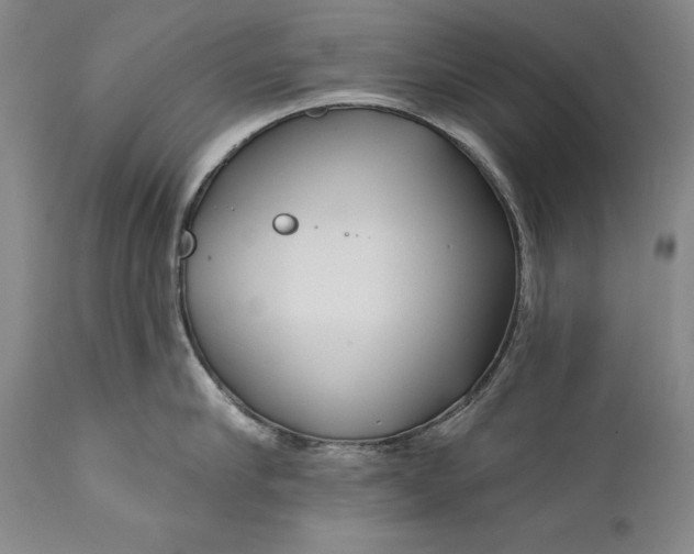 X0000111670910200908071454