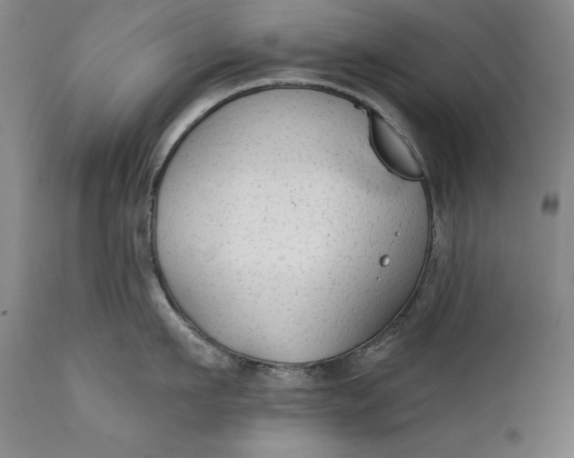 X0000111670911200908071454