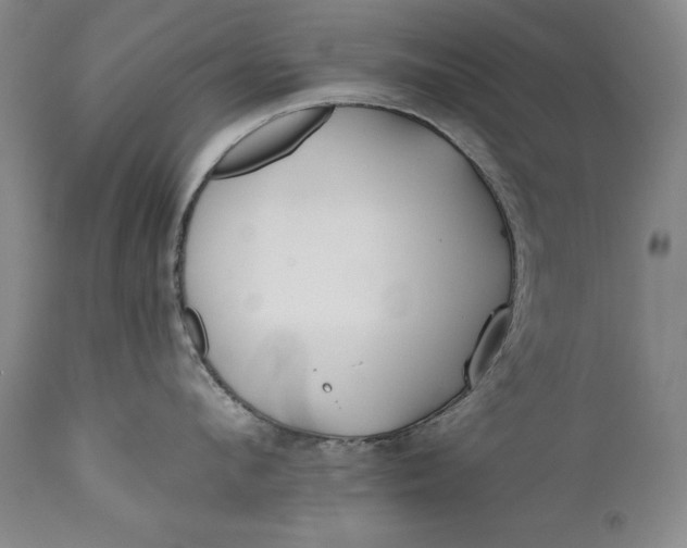 X0000111670912200908071454