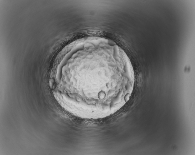 X0000111670913200908071453