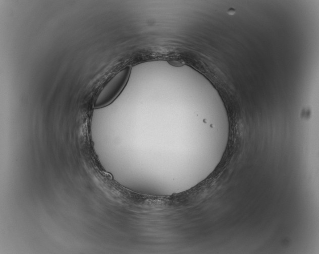 X0000111670914200908071453