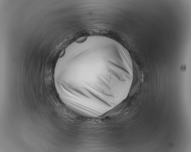 X0000111670915200908071453