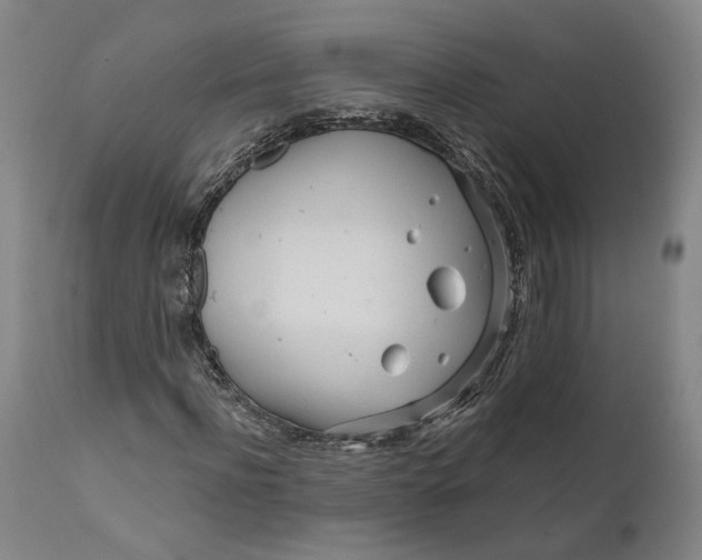 X0000111670916200908071453