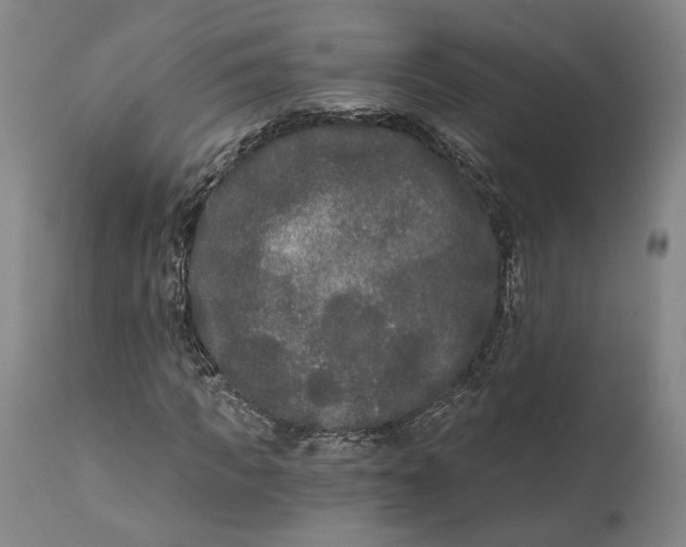 X0000111670917200908071453