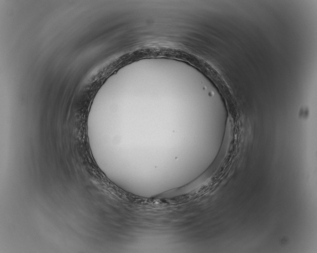 X0000111670919200908071453