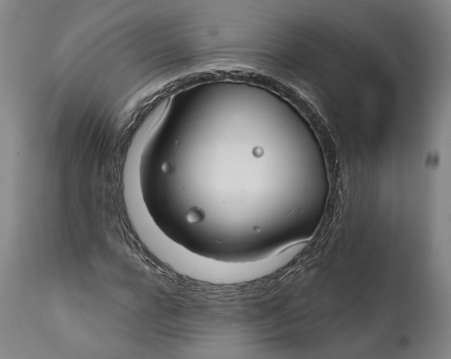 X0000111670920200908071453