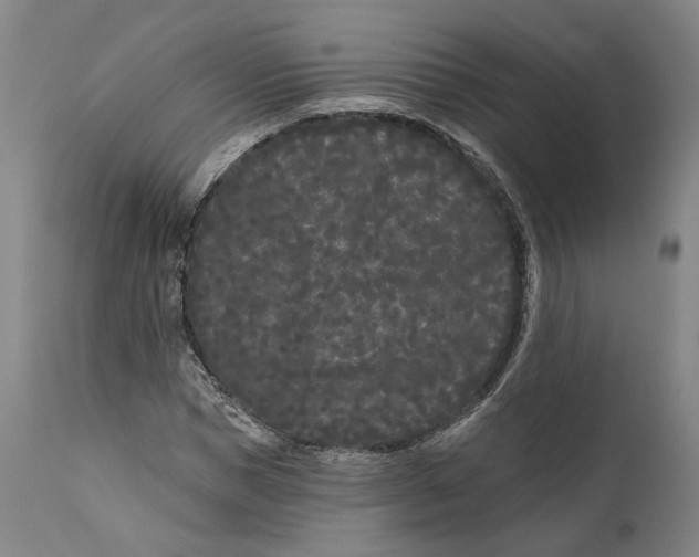 X0000111670921200908071454