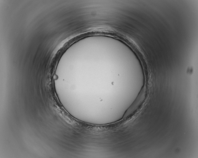 X0000111670923200908071454