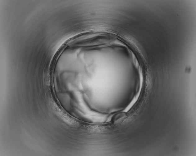 X0000111670924200908071454