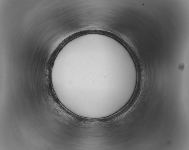 X0000111670926200908071454