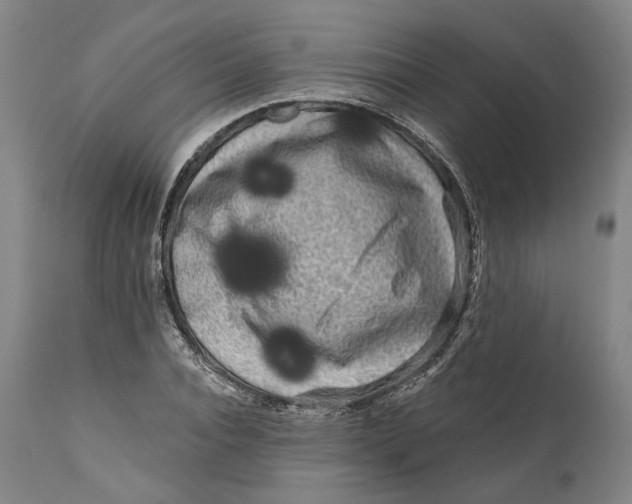 X0000111670928200908071454