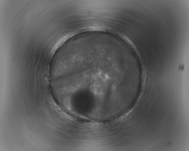 X0000111670930200908071454