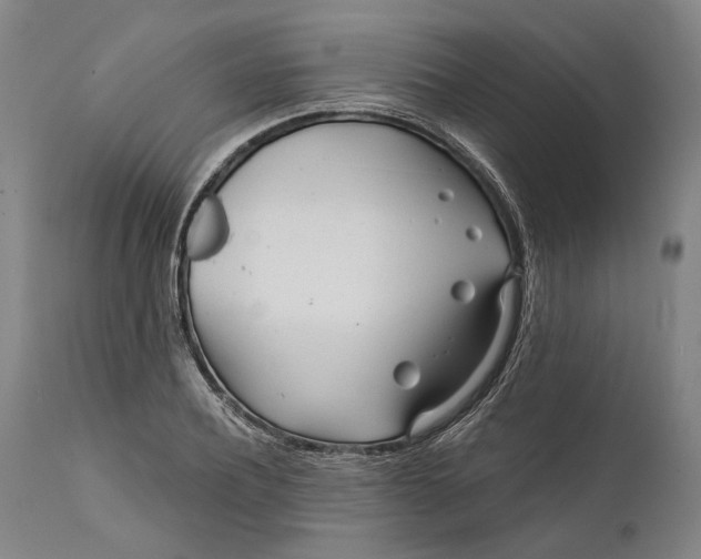 X0000111670932200908071454