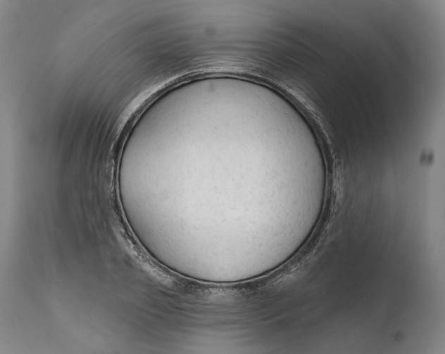 X0000111670933200908071454