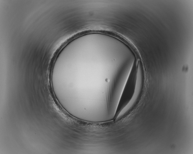 X0000111670935200908071454