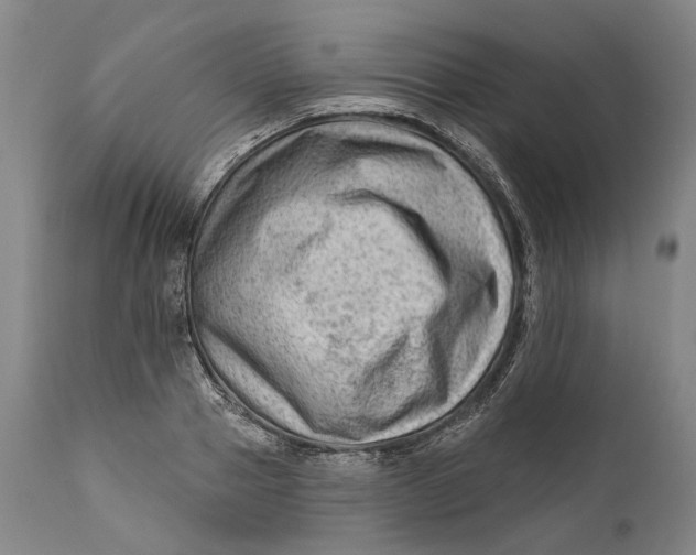 X0000111670937200908071454