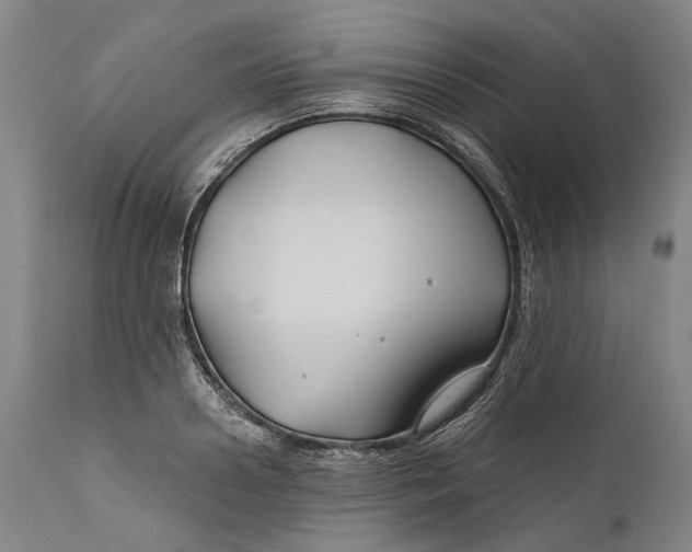 X0000111670938200908071454