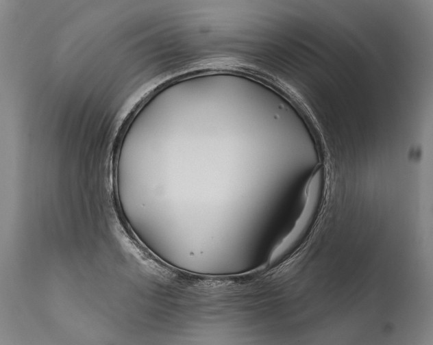 X0000111670939200908071454