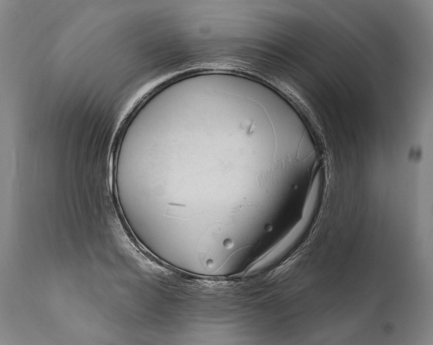 X0000111670940200908071454