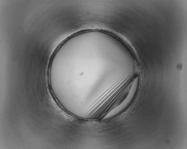 X0000111670943200908071454