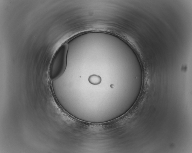 X0000111670944200908071454