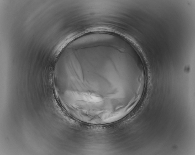 X0000111670945200908071454