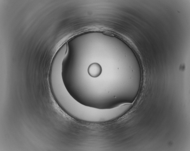 X0000111670946200908071454