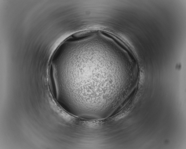 X0000111670948200908071454