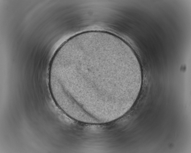 X0000111670950200908071454