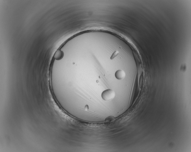 X0000111670951200908071454