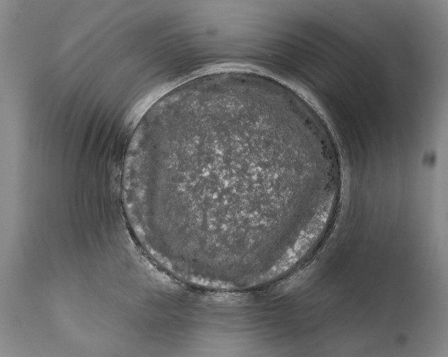 X0000111670953200908071454